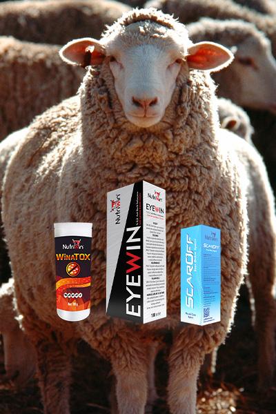 Nutriwin Bakım Ürünleri — Hayvansal ilaçlar